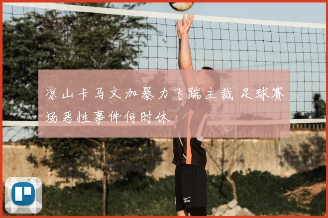 凉山卡马文加暴力飞踹主裁 足球赛场恶性事件何时休
