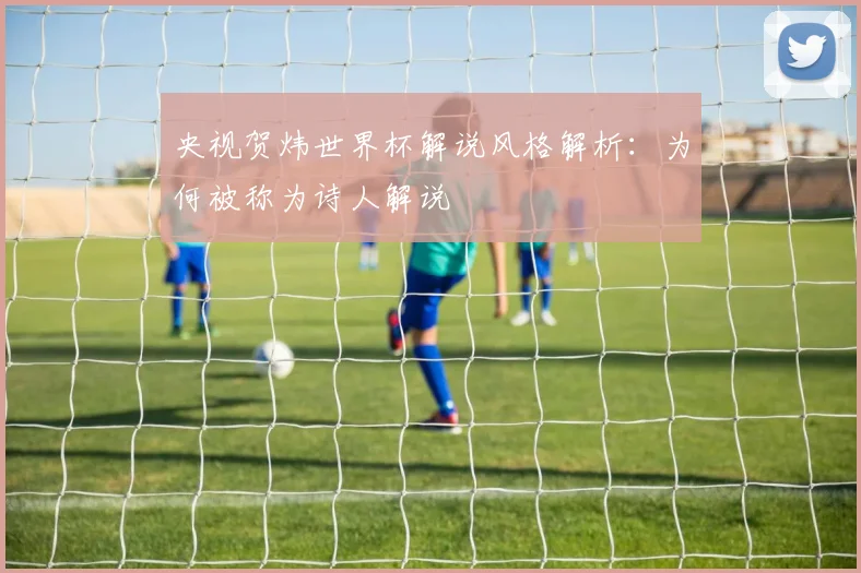 央视贺炜世界杯解说风格解析:为何被称为诗人解说