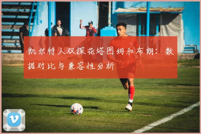 凯尔特人双探花塔图姆和布朗：数据对比与兼容性分析