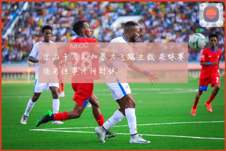 凉山卡马文加暴力飞踹主裁 足球赛场恶性事件何时休