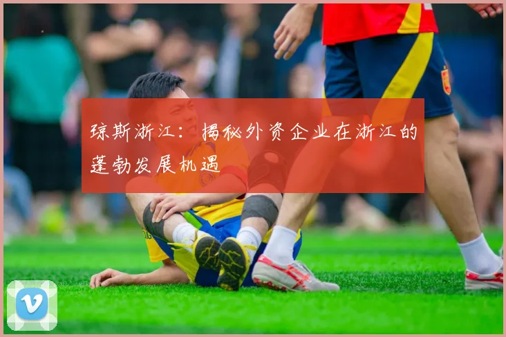 琼斯浙江：揭秘外资企业在浙江的蓬勃发展机遇