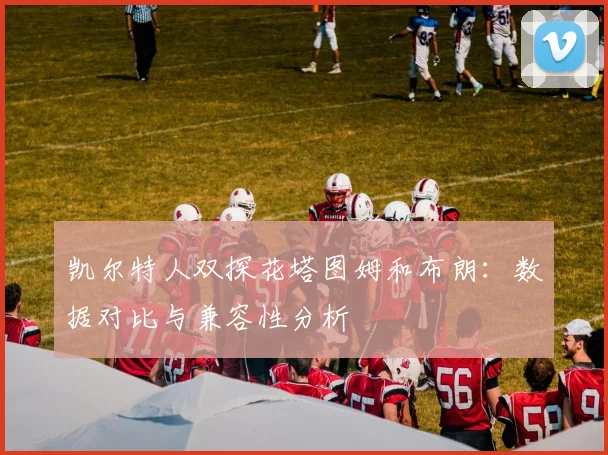 凯尔特人双探花塔图姆和布朗：数据对比与兼容性分析