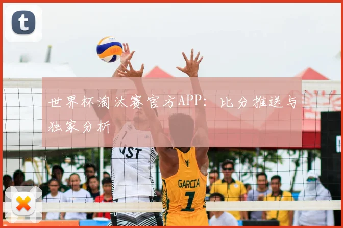 世界杯淘汰赛官方APP：比分推送与独家分析